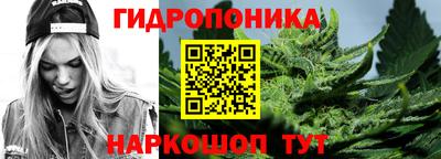 apvp Моздок